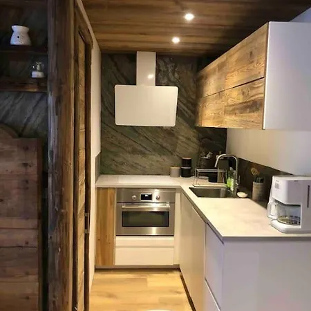 3 Pieces Style Proximite Pistes Apartment